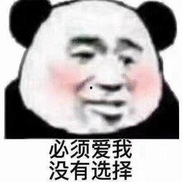 没看见图片